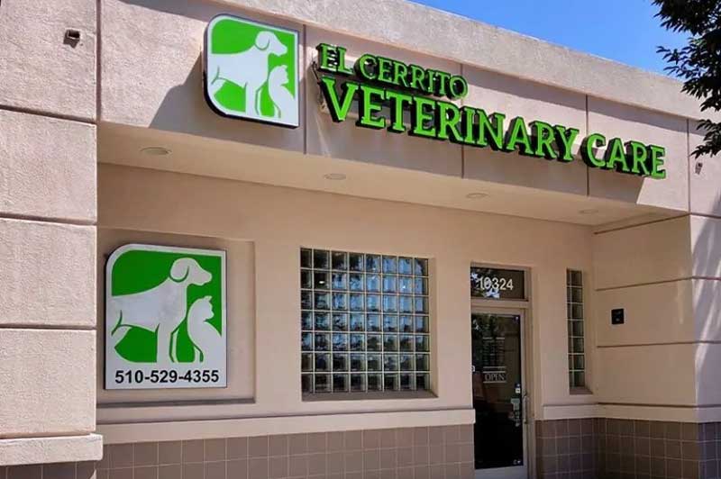 El Cerrito Veterinary Care