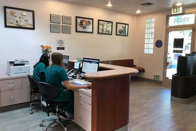 Reception team at the desk