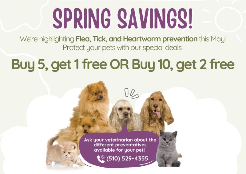 Carousel Slide 1: While Deals Last! Ask your veterinarian about the different preventatives available for your pet.