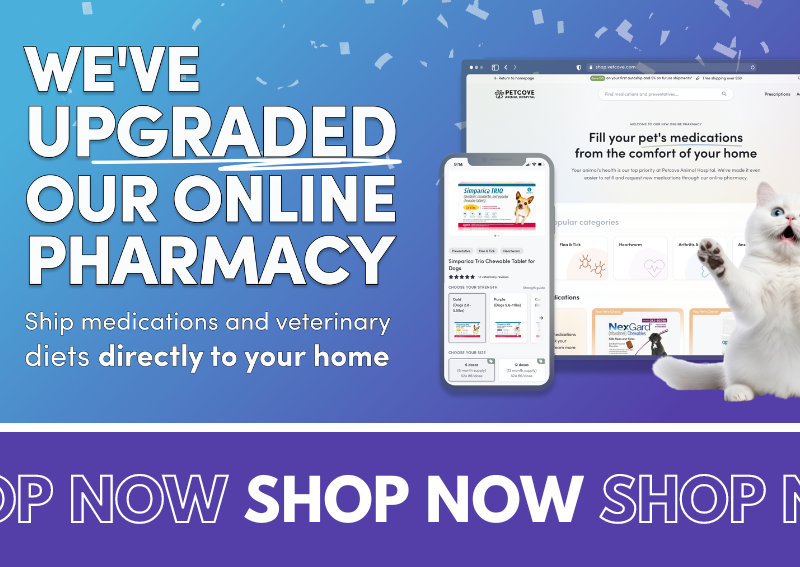 Carousel Slide 4: Online Pharmacy